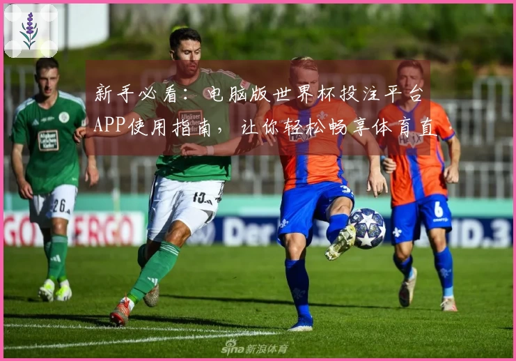 新手必看:电脑版世界杯投注平台APP使用指南,让你轻松畅享体育直播体验