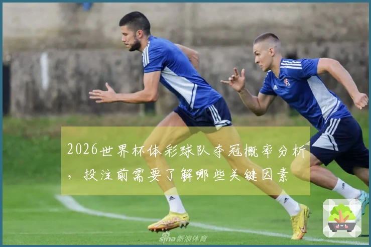 2026世界杯体彩球队夺冠概率分析，投注前需要了解哪些关键因素