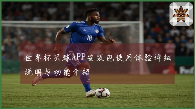 世界杯买球APP安装包使用体验详细说明与功能介绍