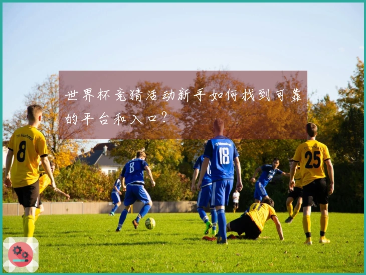 世界杯竞猜活动新手如何找到可靠的平台和入口？
