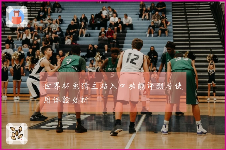 世界杯竞猜主站入口功能评测与使用体验分析