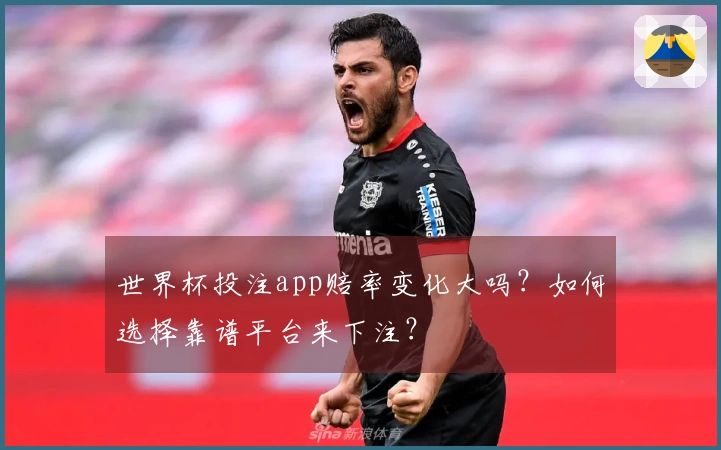 世界杯投注app赔率变化大吗？如何选择靠谱平台来下注？