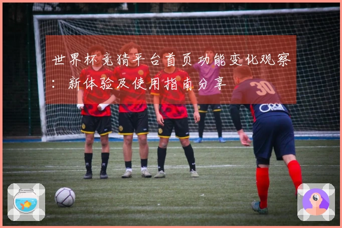 世界杯竞猜平台首页功能变化观察：新体验及使用指南分享