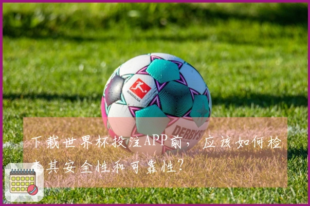 下载世界杯投注APP前，应该如何检查其安全性和可靠性？