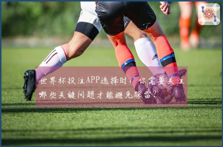 世界杯投注APP选择时,你需要关注哪些关键问题才能避免踩雷?
