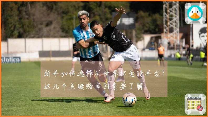 新手如何选择买世界杯竞猜平台？这几个关键赔率因素要了解