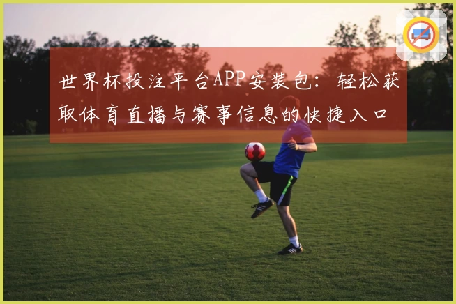 世界杯投注平台APP安装包：轻松获取体育直播与赛事信息的快捷入口
