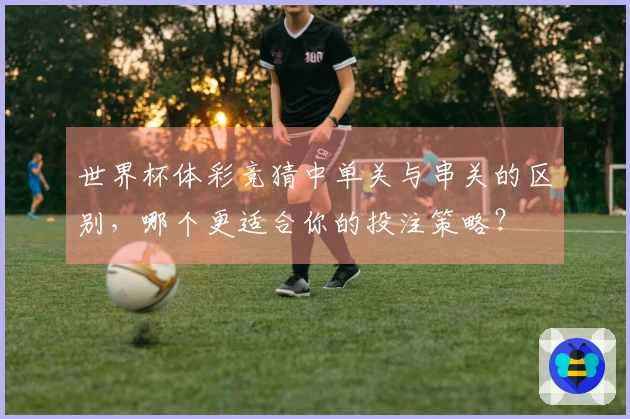 世界杯体彩竞猜中单关与串关的区别,哪个更适合你的投注策略?