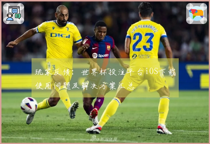 玩家反馈：世界杯投注平台iOS下载使用问题及解决方案汇总