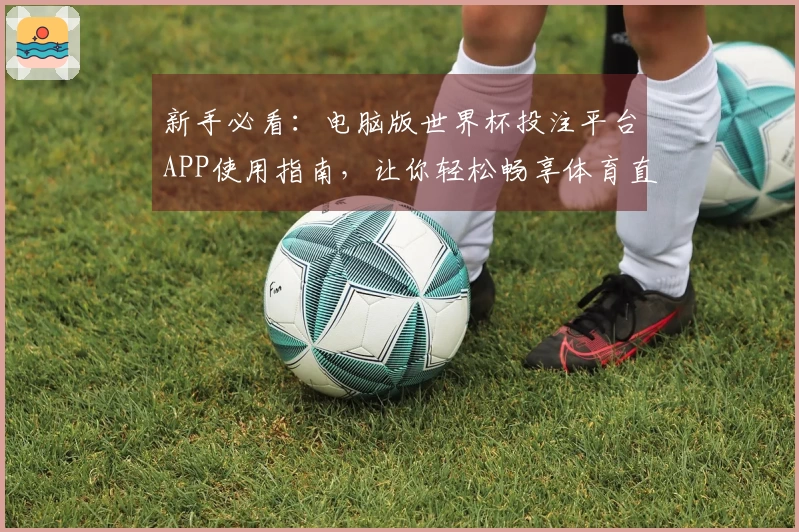 新手必看：电脑版世界杯投注平台APP使用指南，让你轻松畅享体育直播体验
